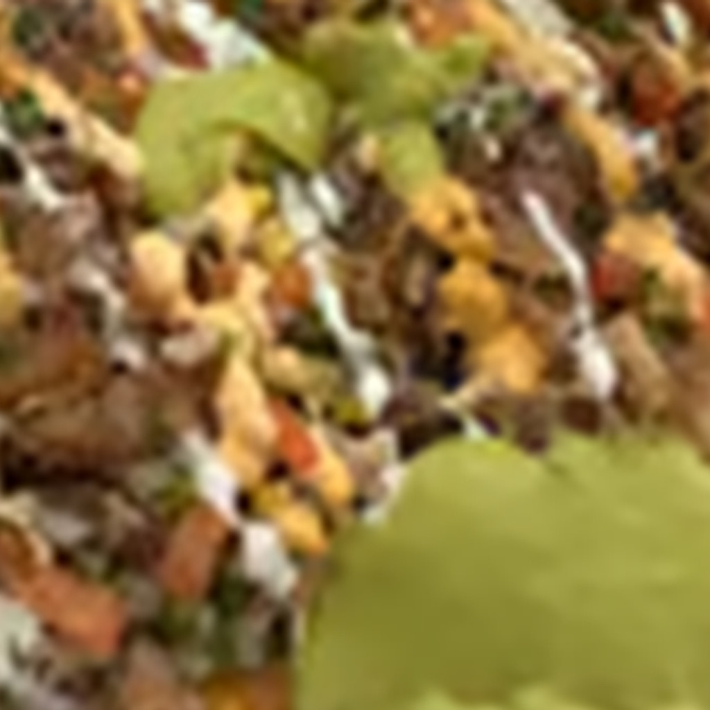 Image-Loaded Carnitas Fries