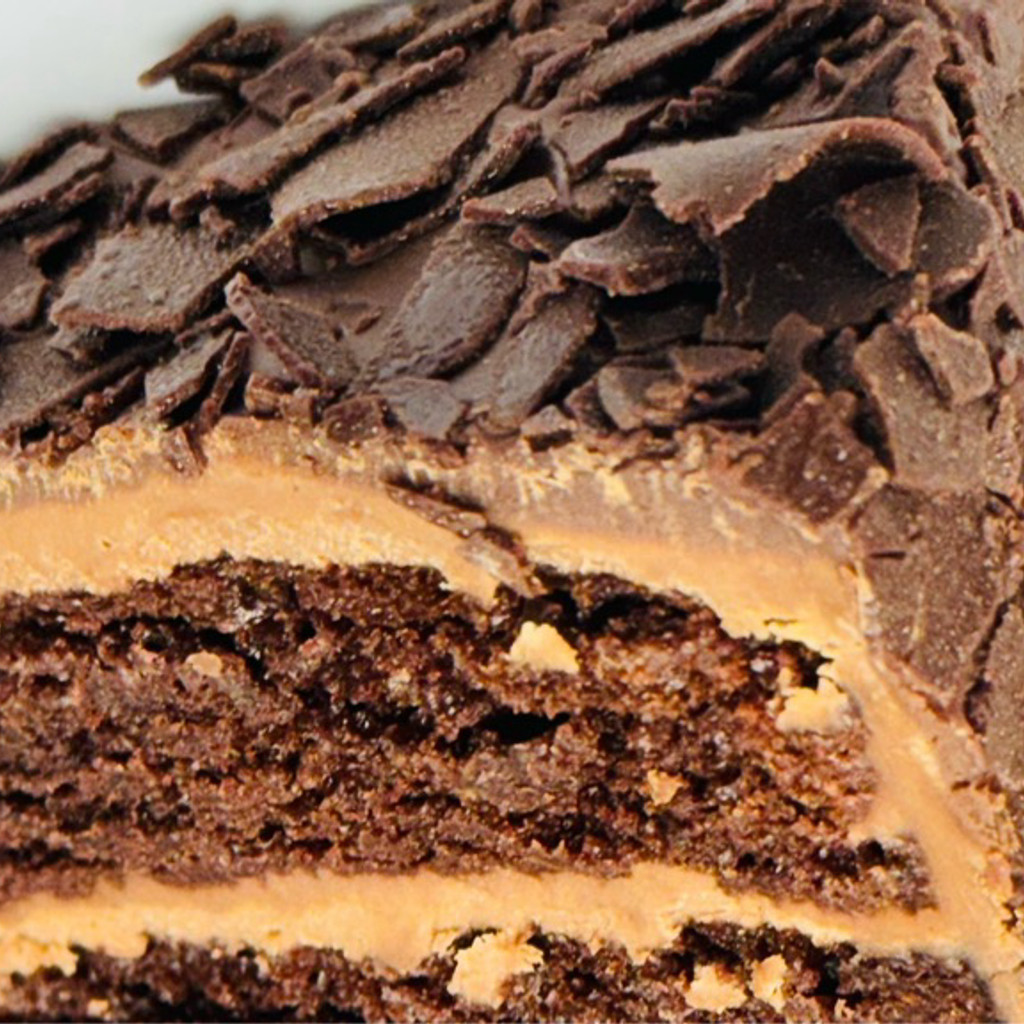 Image-DOUBLE CHOCOLATE CAKE