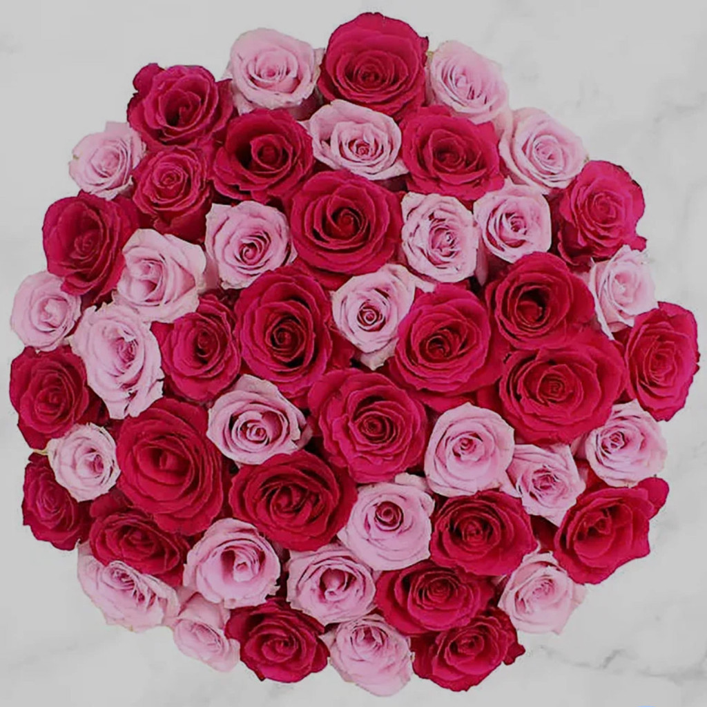 Image-Hot and Light Pink Rose Bouquet - 50 Stem