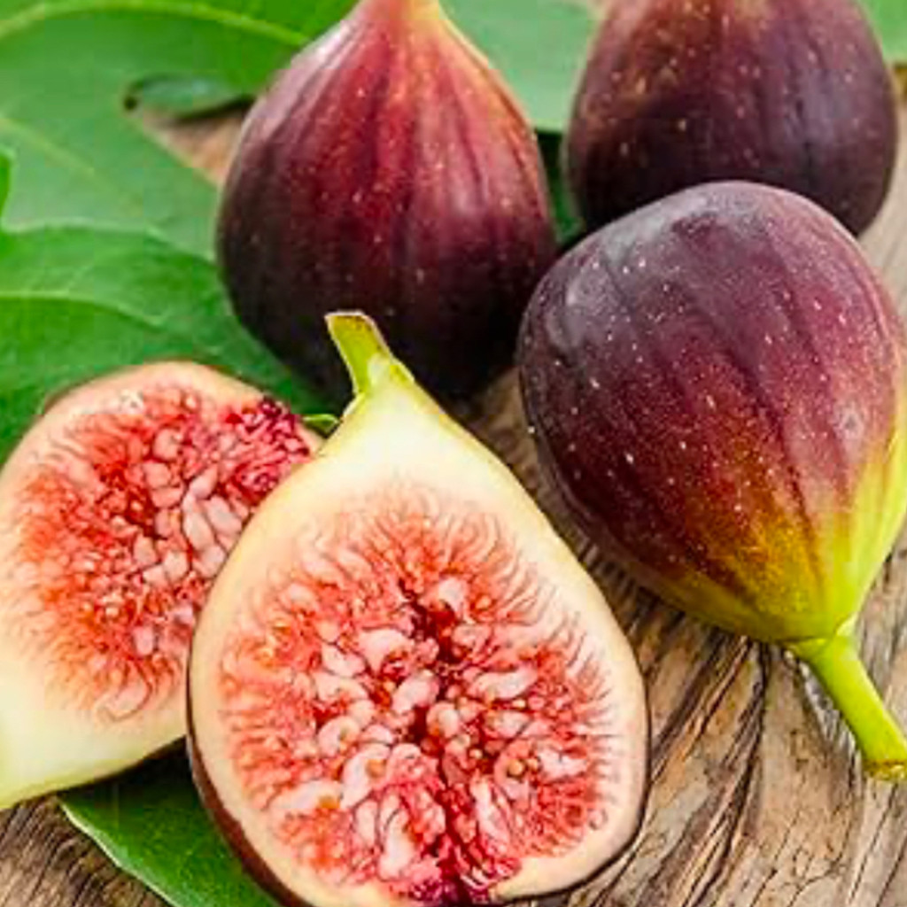 Image-Black figs container