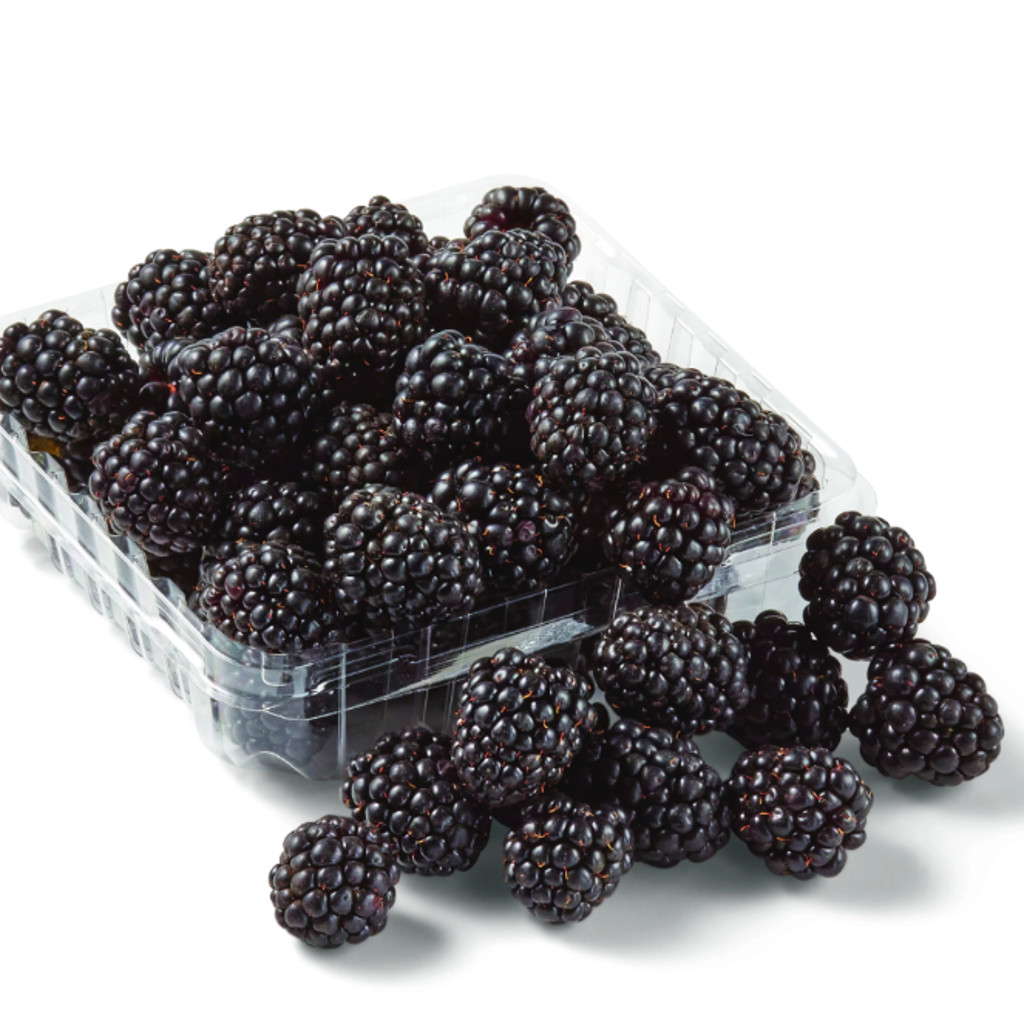 Image-Blackberry container