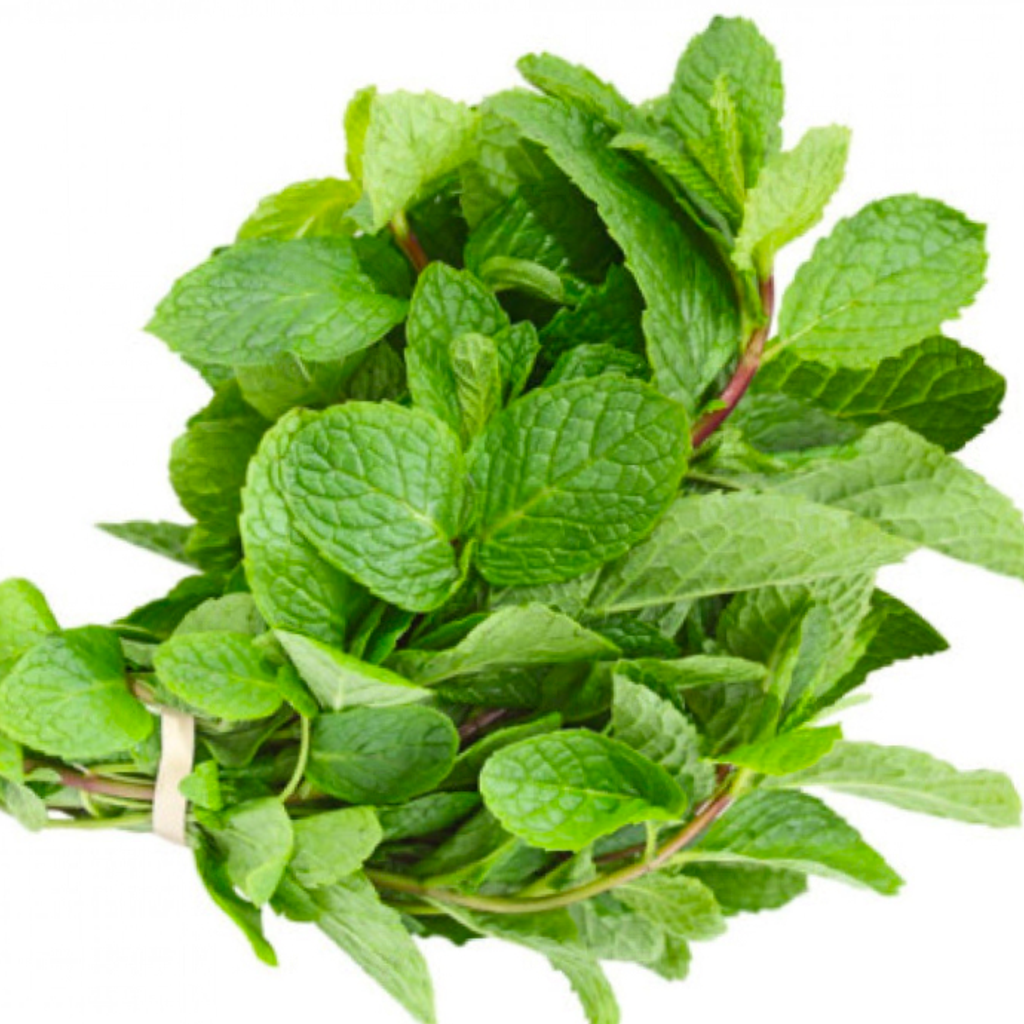 Image-Fresh mint