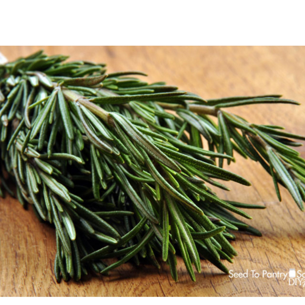 Image-Fresh Rosemary