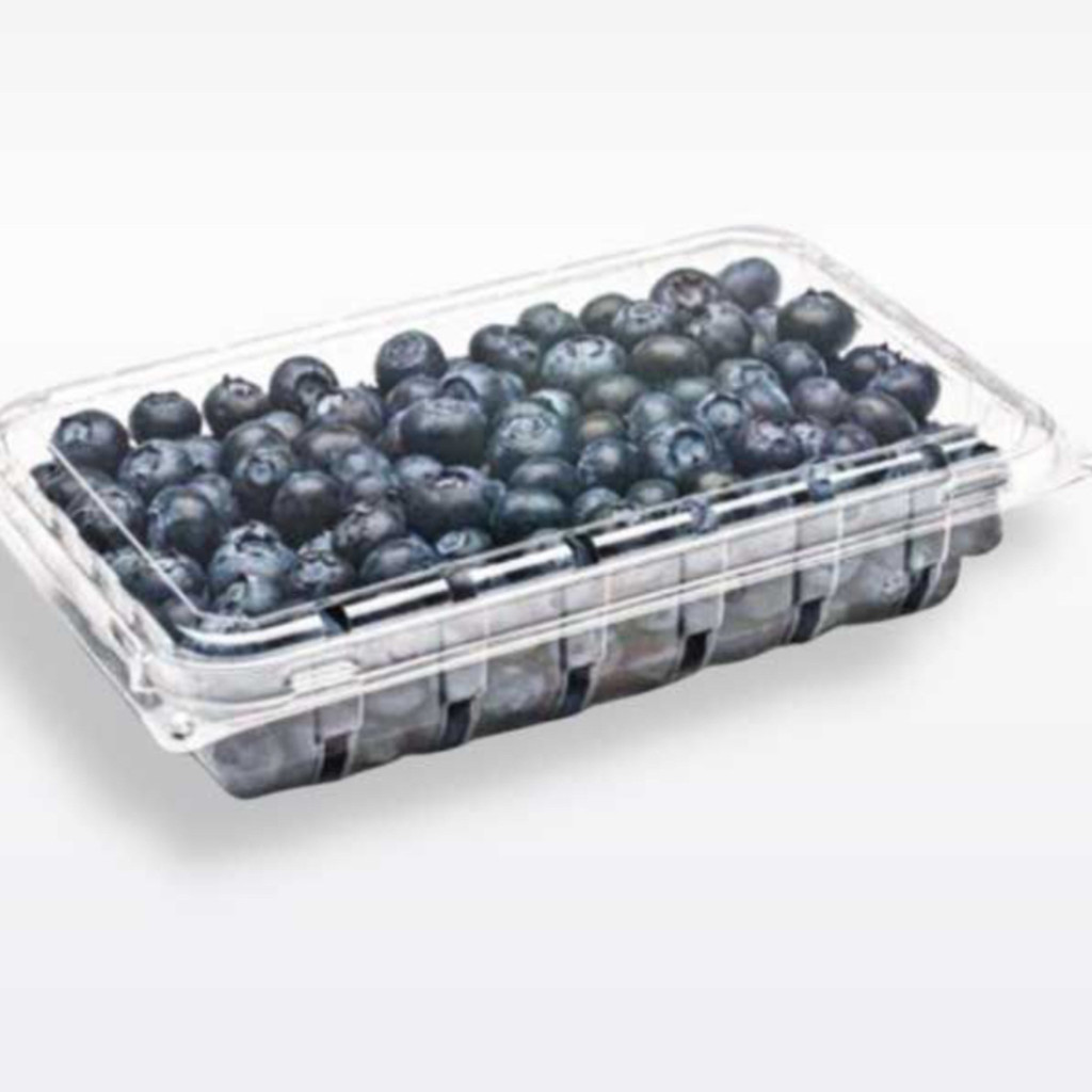 Image-Blueberry container