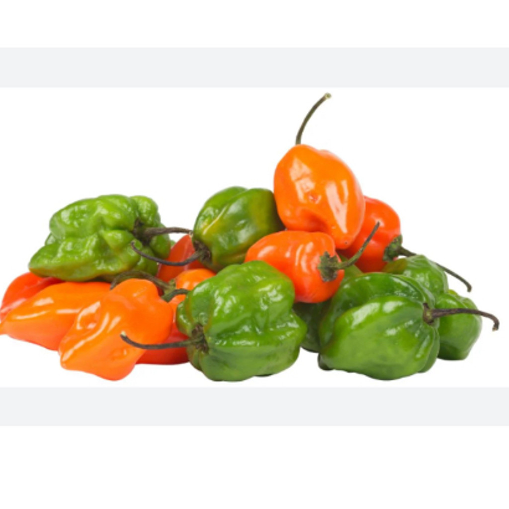 Image-Habaneros peppers try