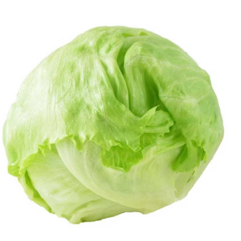 Image-Iceberg lettuce head