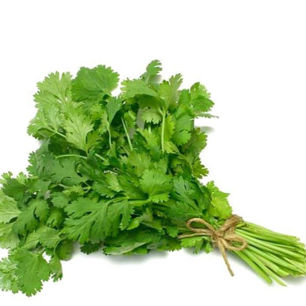 Image-Punch cilantro
