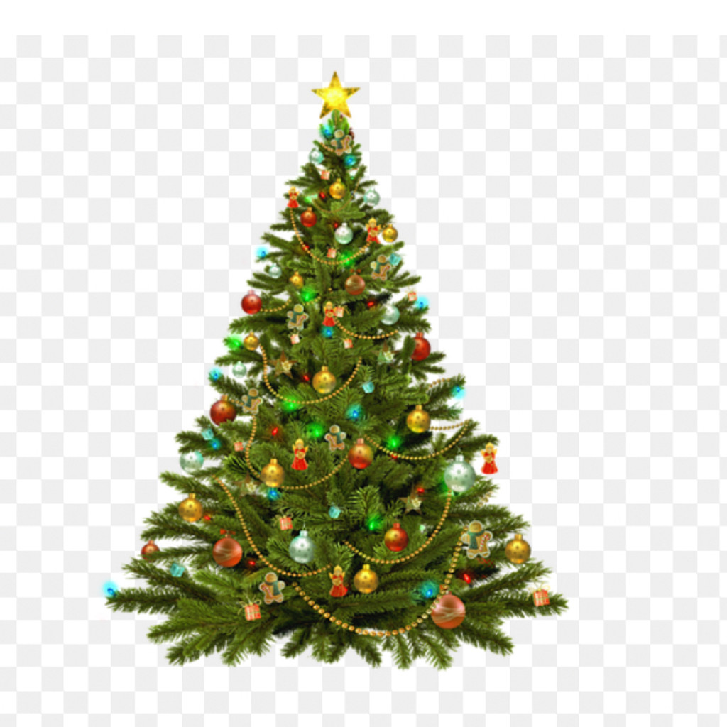 Image-Christmas tree 🎄5 ft