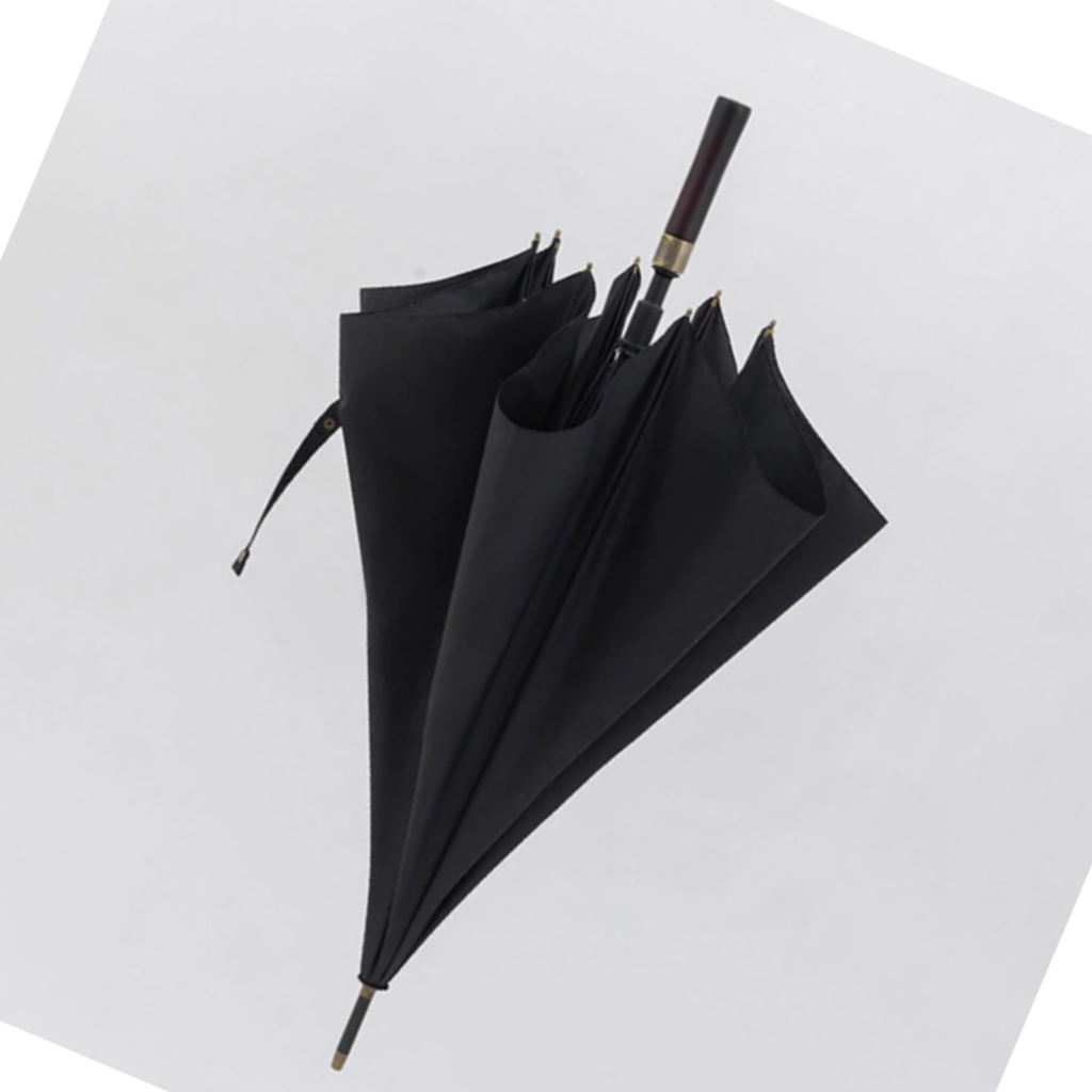 Image-Big Umbrella 🌂