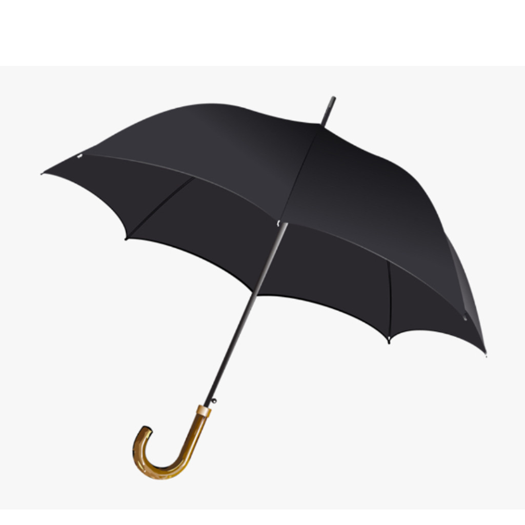 Image-Small umbrella