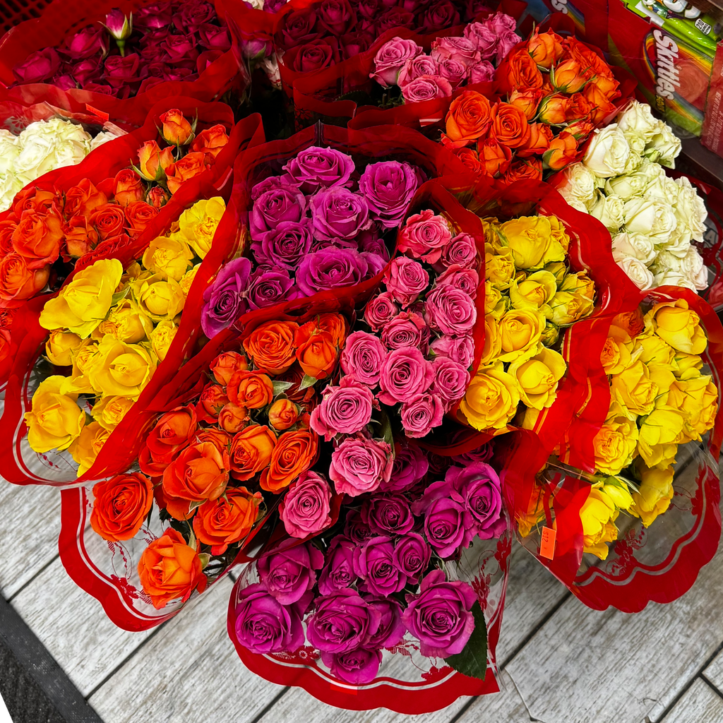 Image-Mini roses 🌹