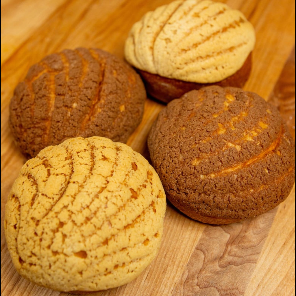 Image-Conchas