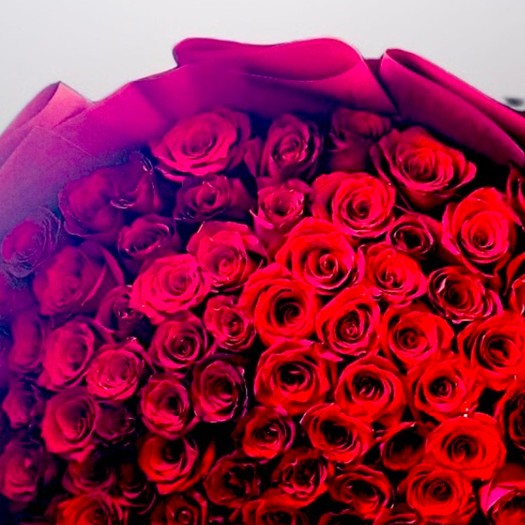 Image-75 Stem Red Roses With Wrapping Size 70 Cm
