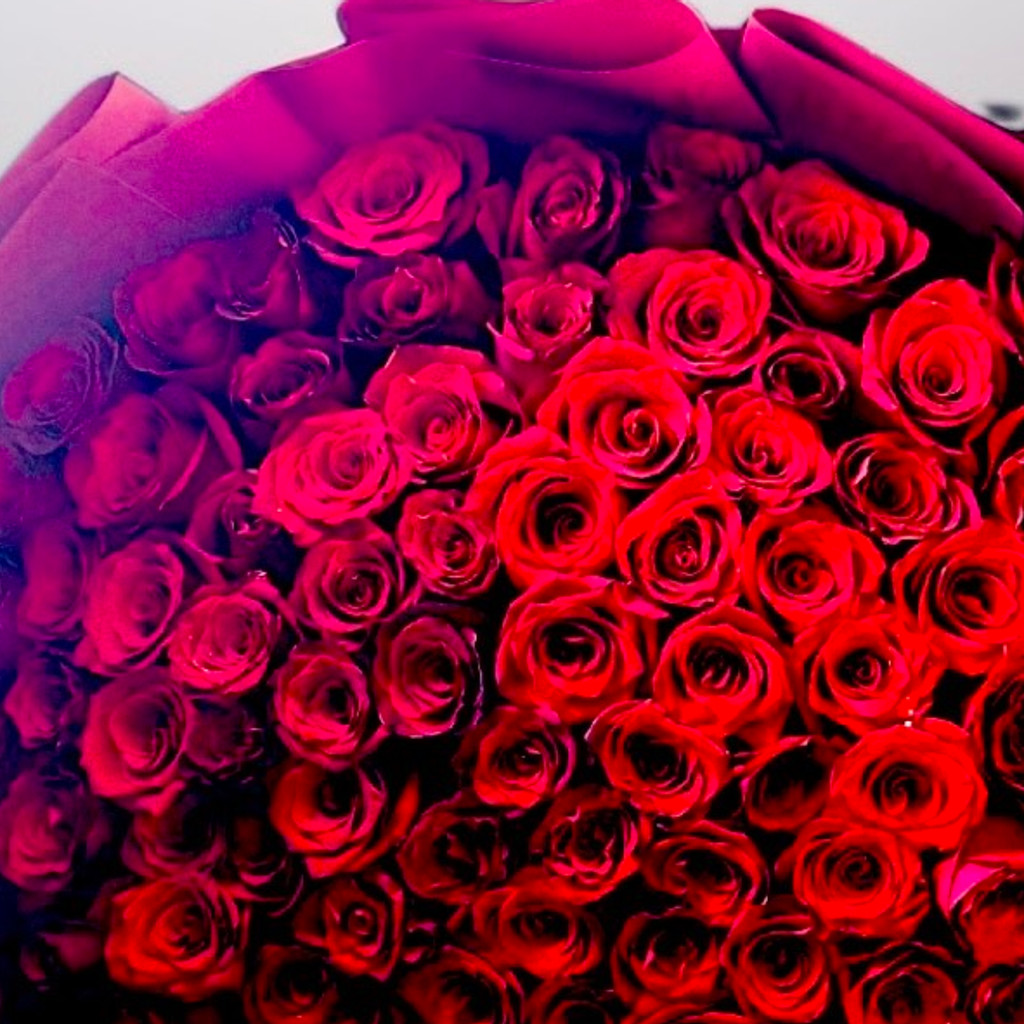 Image-75 Stem Red Roses With Wrapping Size 90Cm