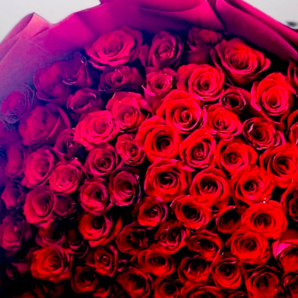 Image-100 Stem Red Roses With Wrapping Size 80Cm