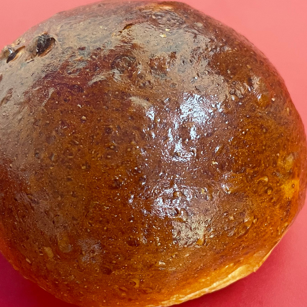 Image-Raisin Bread (Boolki)
