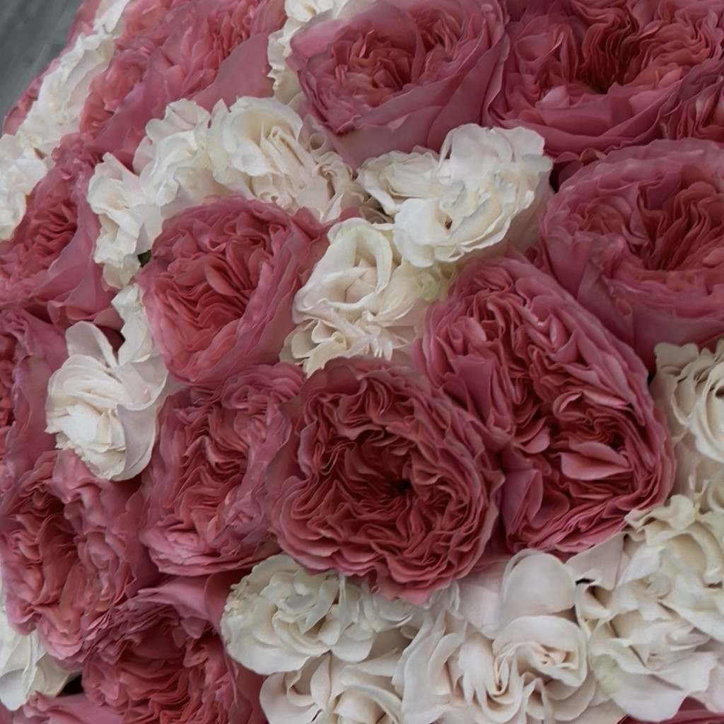 Image-Mixed Rose Bouquet - 50 Stems