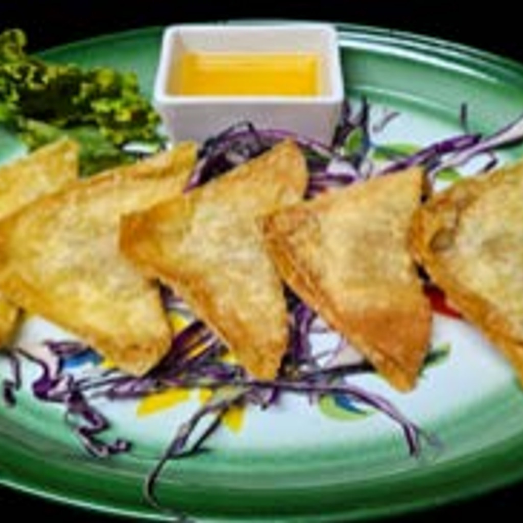 Image-Fried Wonton