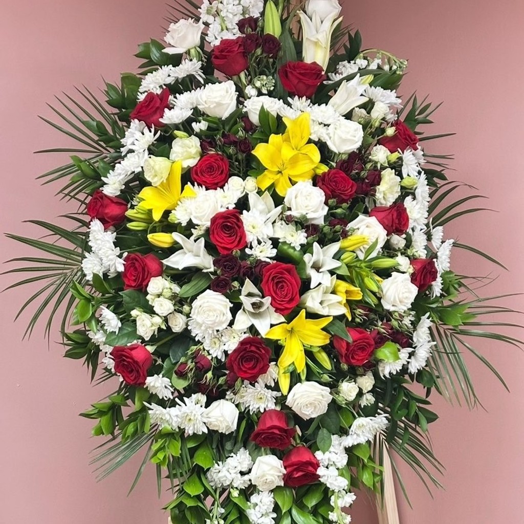 Image-Option 3