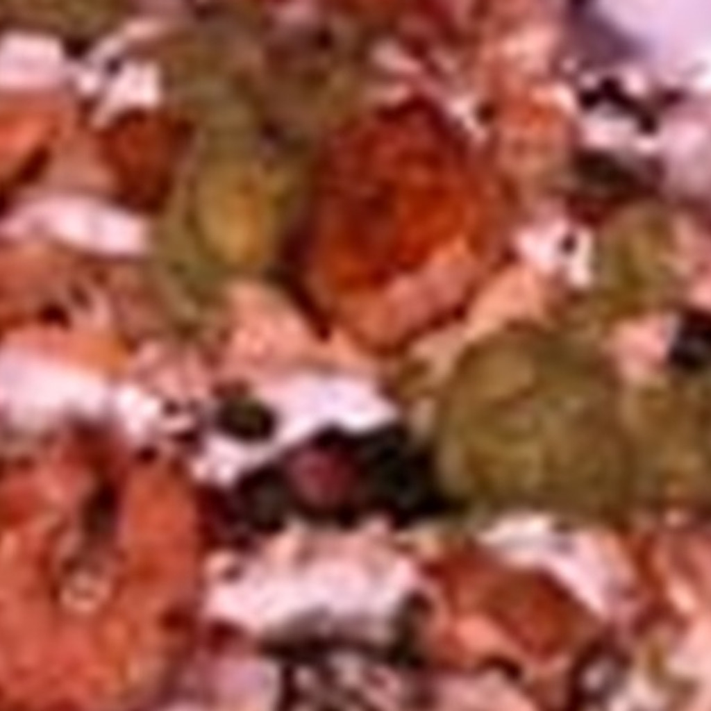 Image-Loaded Shrimp Fries