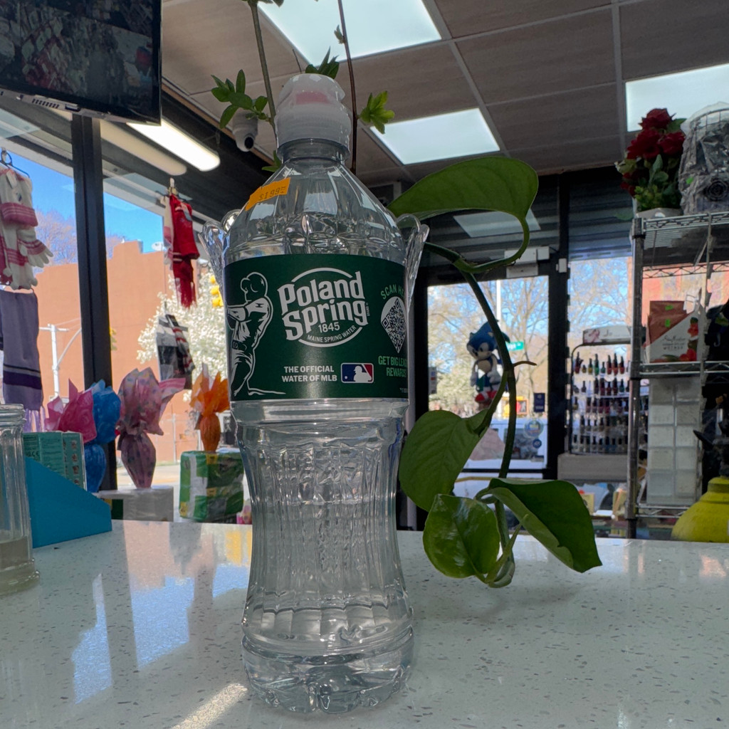 Image-Poland Spring 700ml