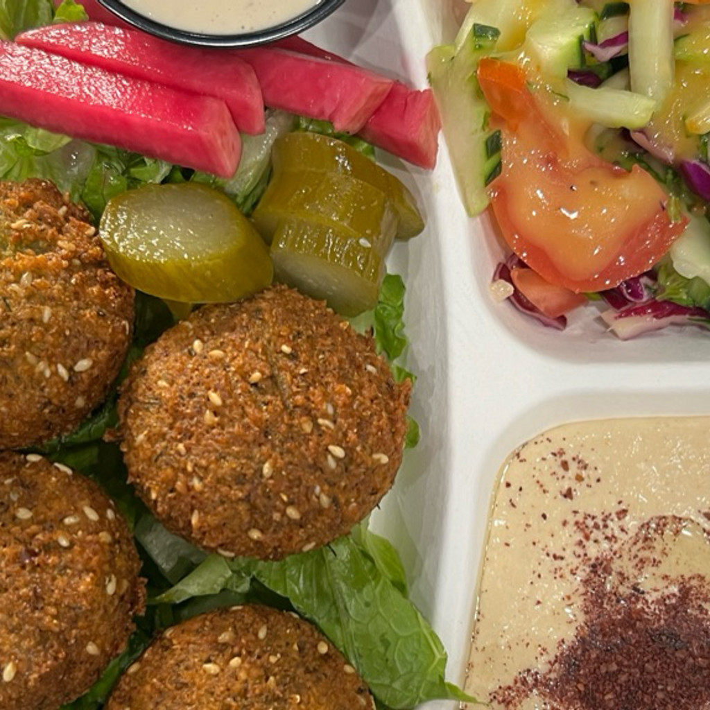 Image-Falafel Plate