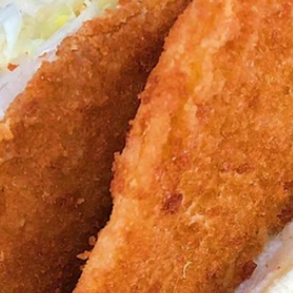 Image-Fish Fillet