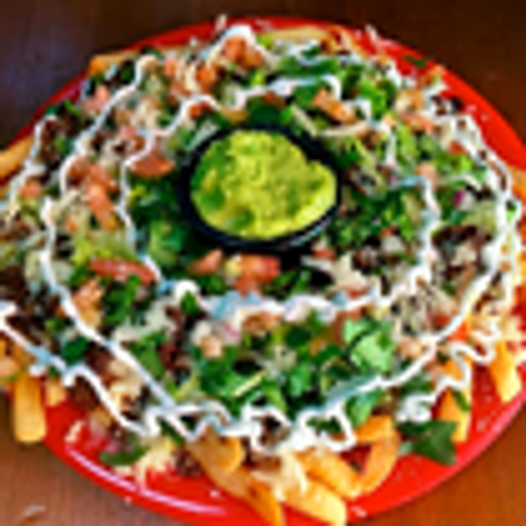 Image-LOADED FRIES