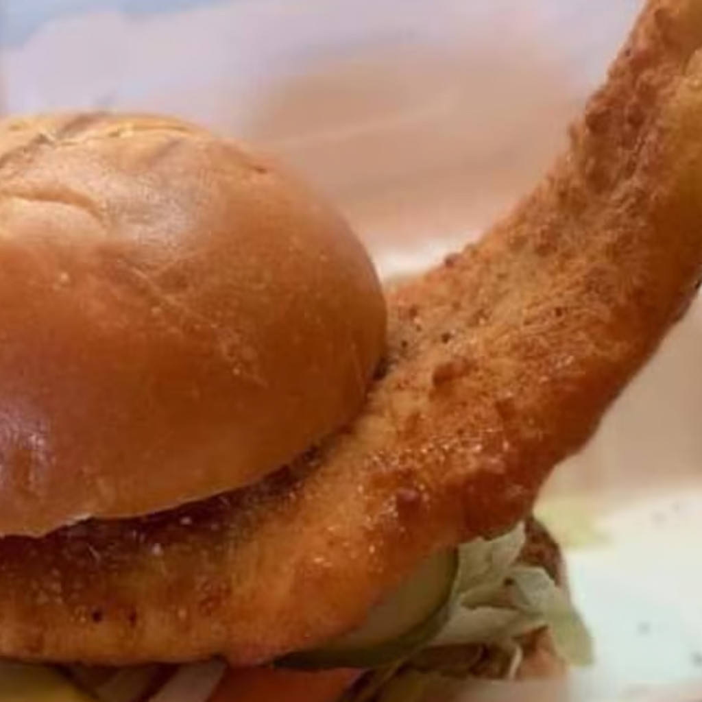 Image-Fried Haddock Sandwich