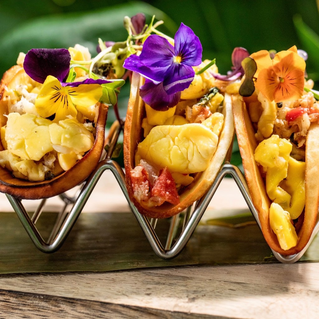 Image-Bread Fruit Tacos