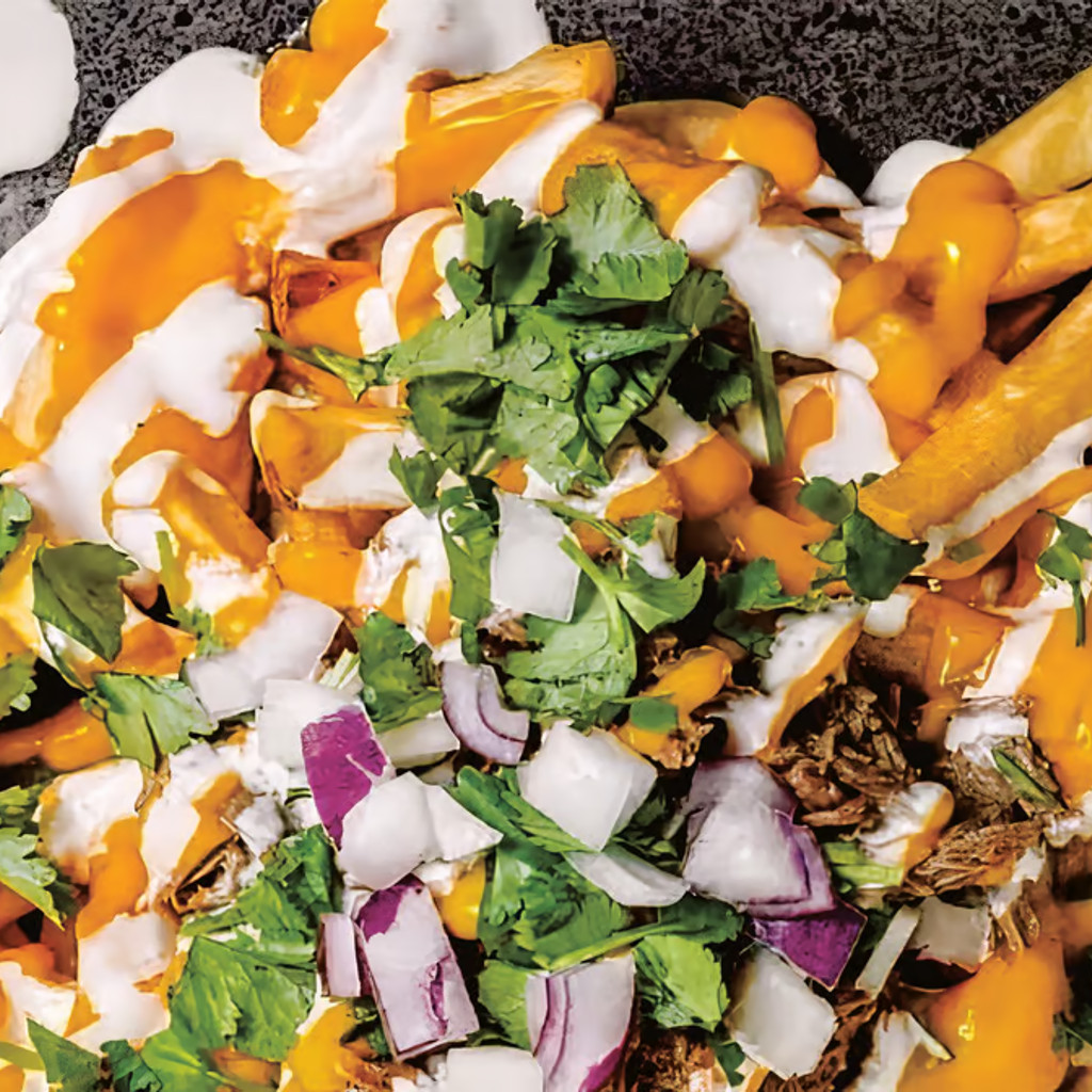 Image-Birria Fries