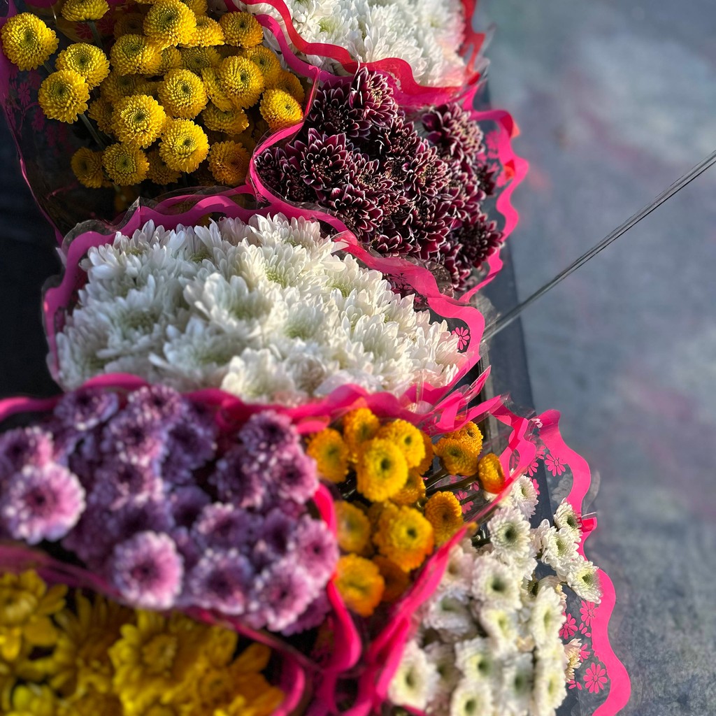 Image-Pompom flowers