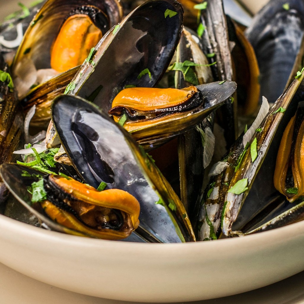 Image-Mussels (12 Pc)