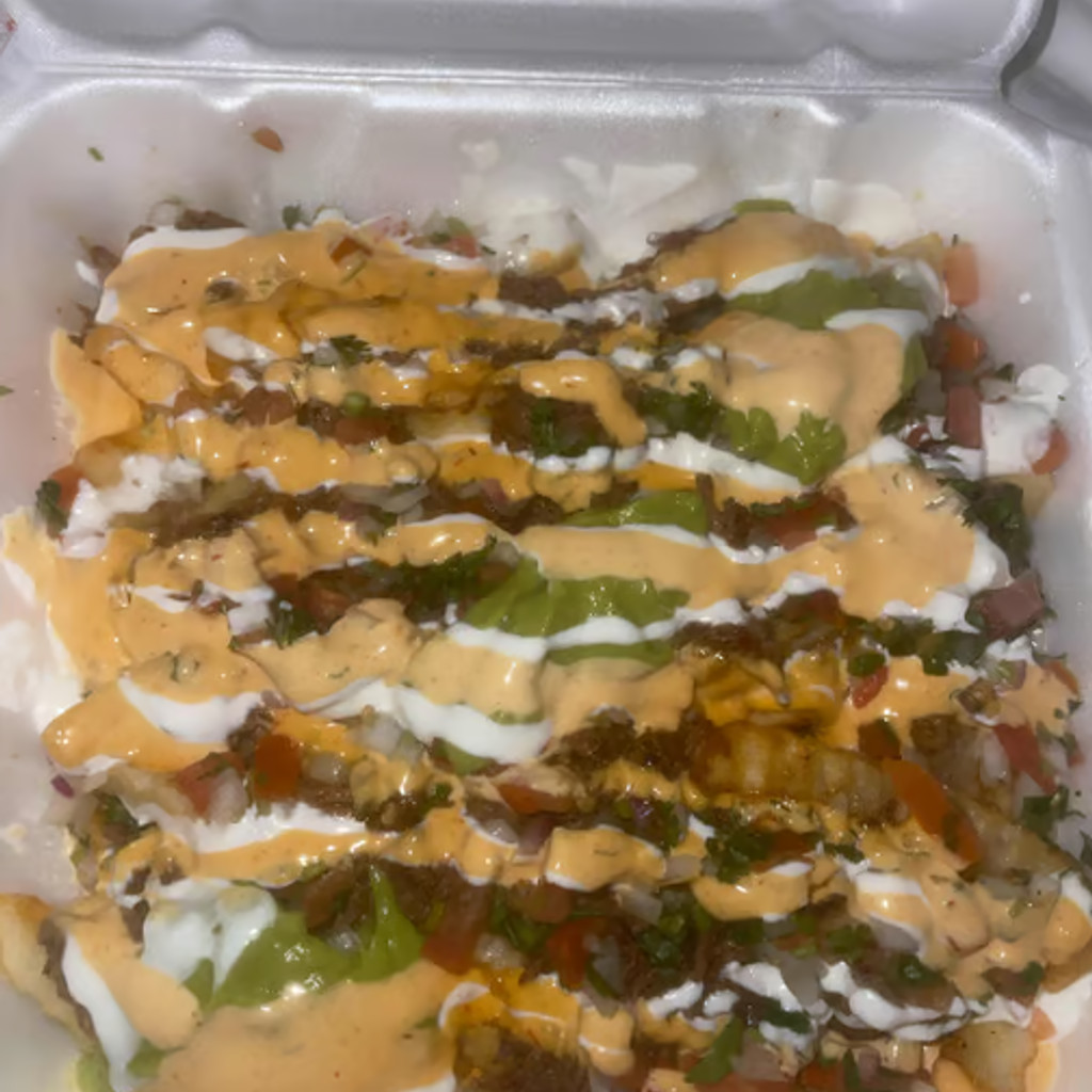 Image-Loaded Birria Fries