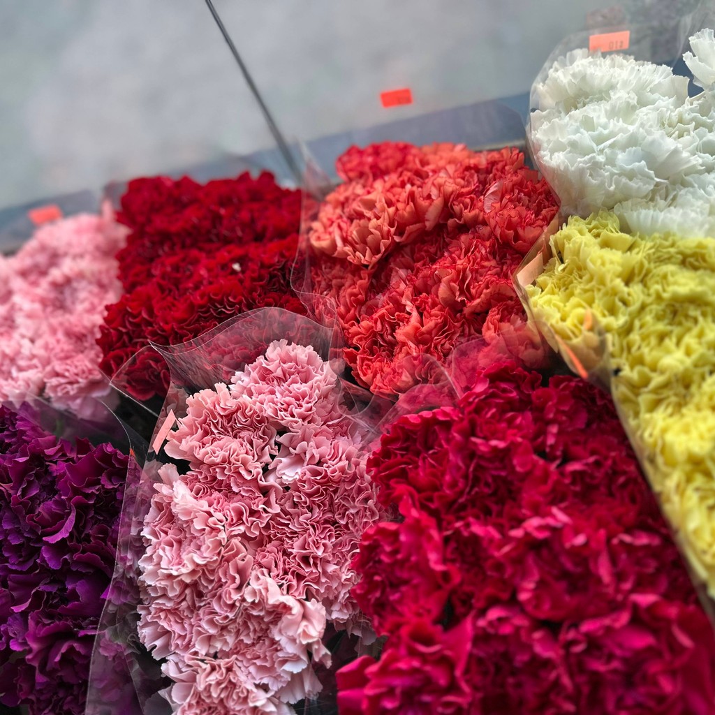 Image-Carnations flowers