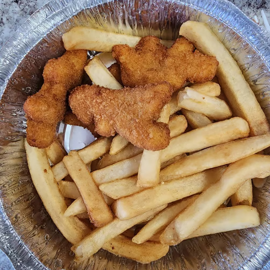 Image-Dino Nuggets