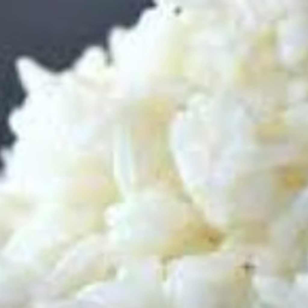 Image-White Rice