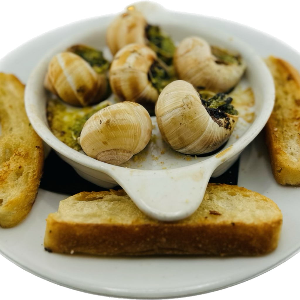 Image-Escargot