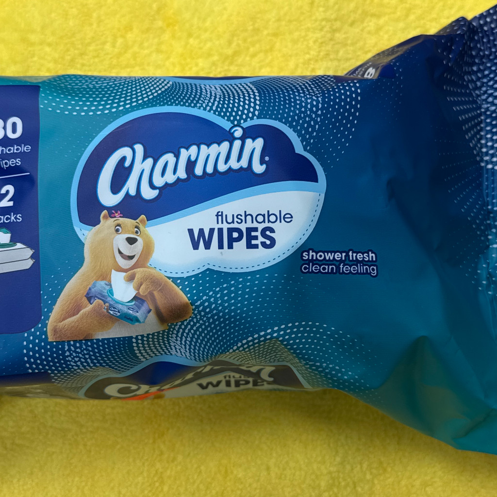 Image-Charmin flushable WIPES (80 count)