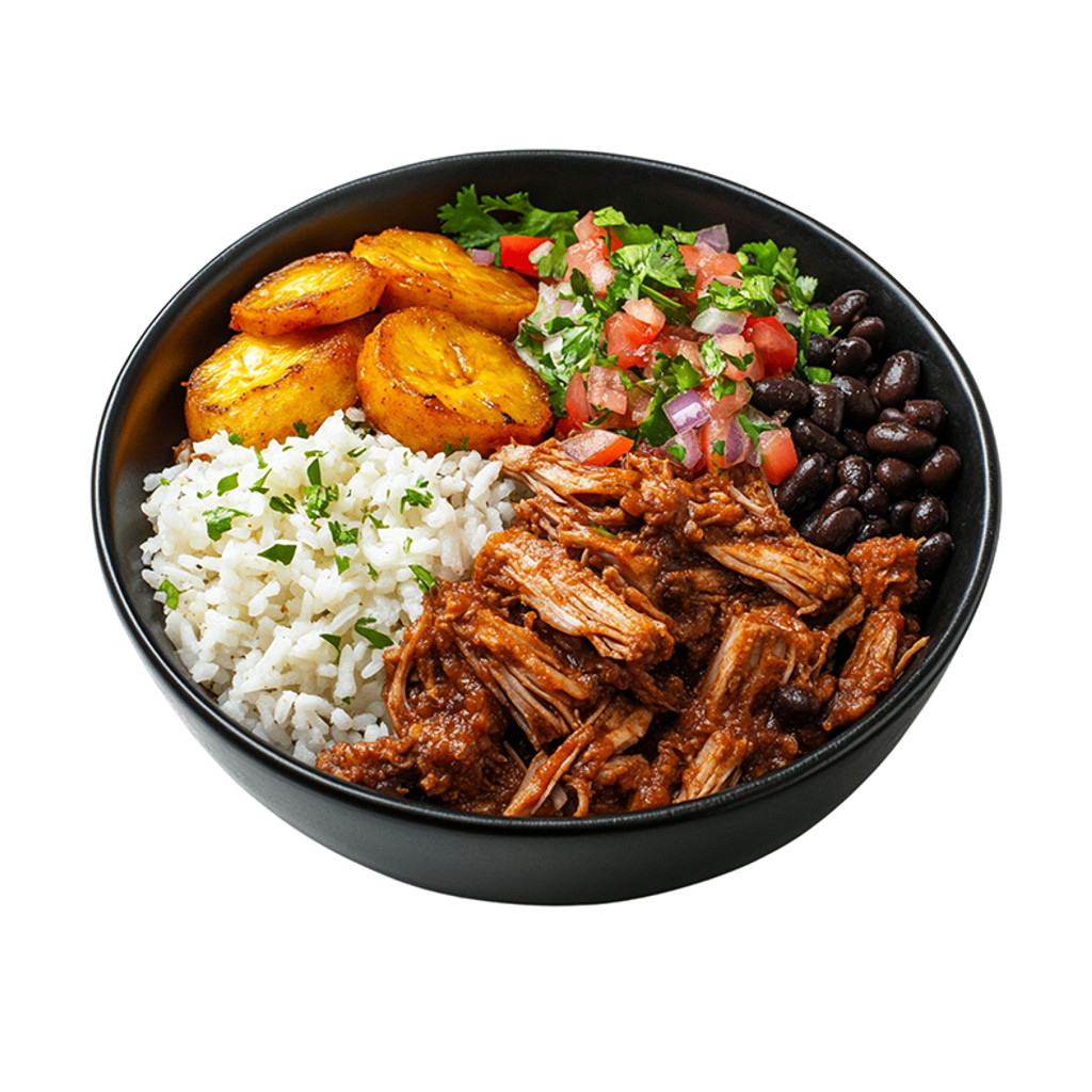 Image-Lechon: Rice, Beans, Plantain, Salad.