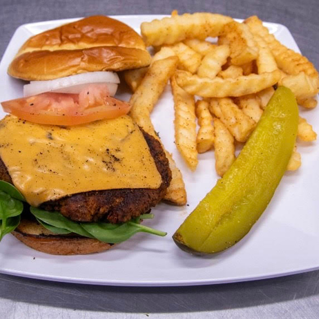 Image-SALMON BURGER