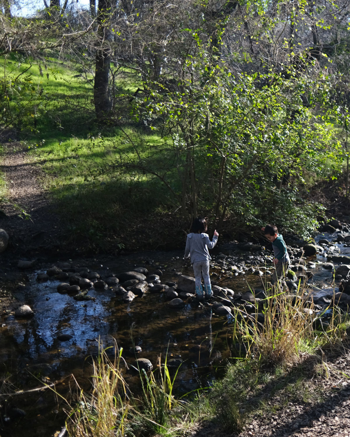Shaded creek scene at Hinkle Creek Park in Folsom, California, with two children exploring the shallow, rocky stream surrounded by grassy banks and leafy trees.