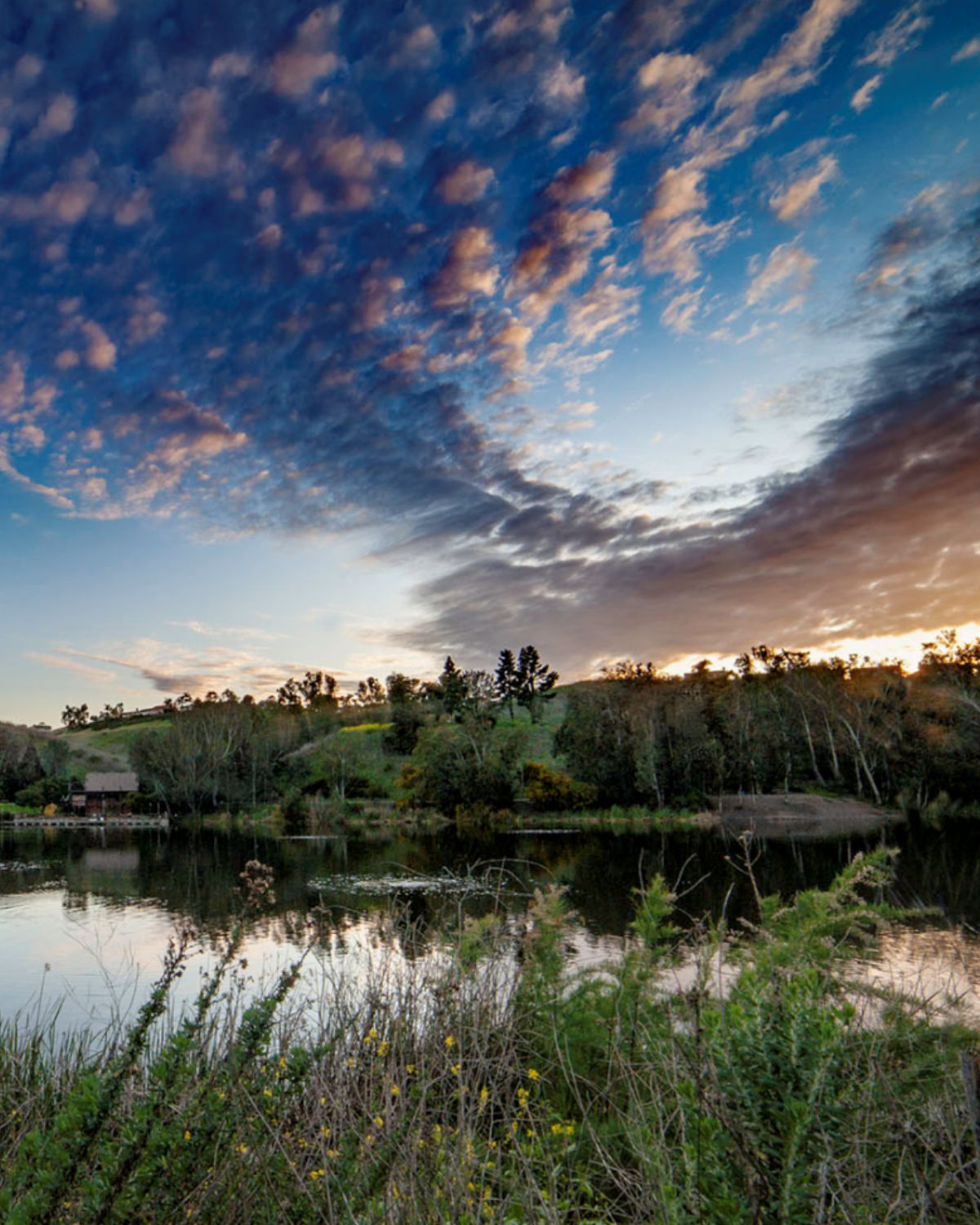Laguna Niguel Regional Park with a lake, walking trails, and hillside views under clear skies.