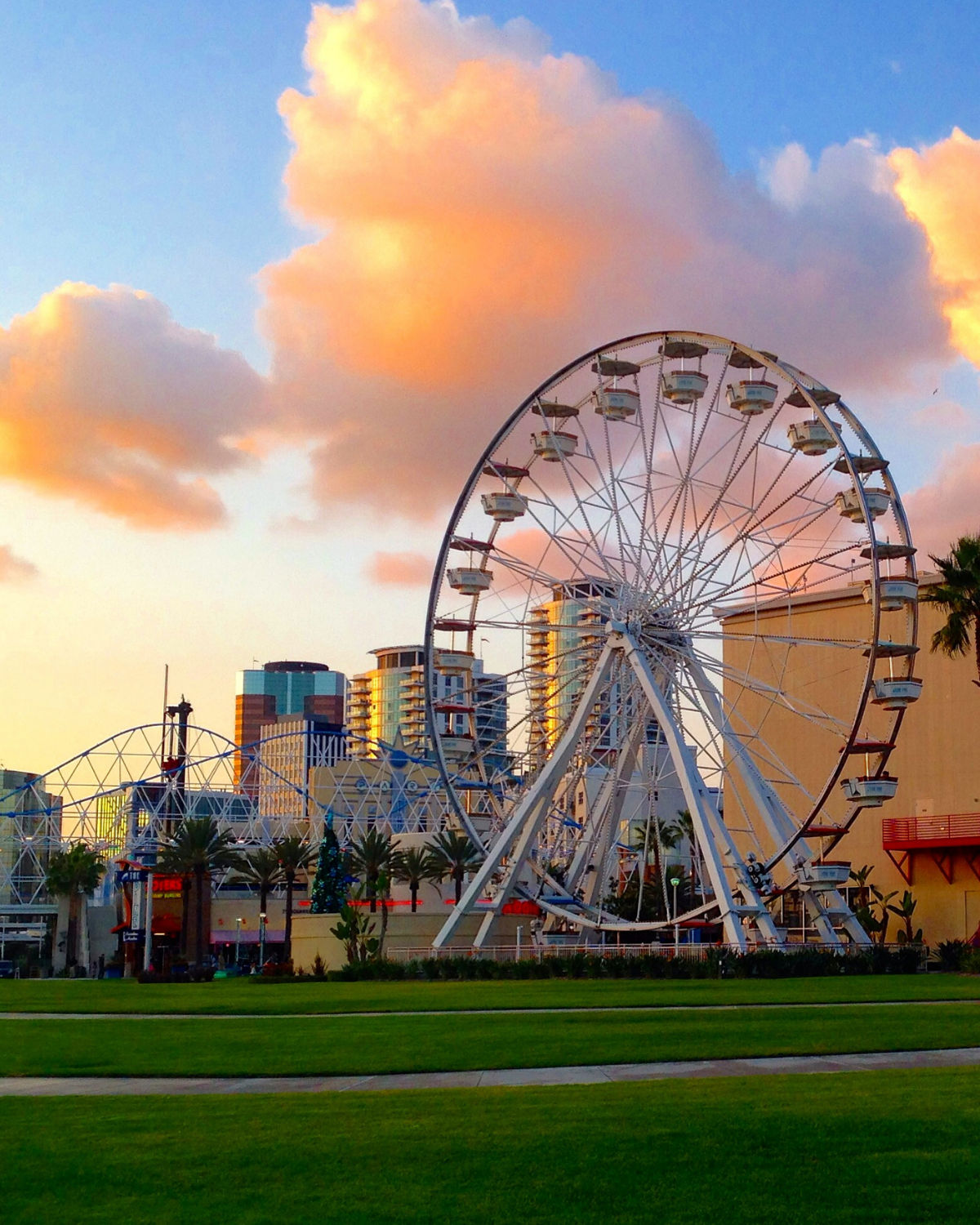 Colorful evening scene in Long Beach, California, featuring a large Ferris wheel set against modern high-rise buildings, with a green lawn in the foreground and soft orange clouds in a blue sky above.