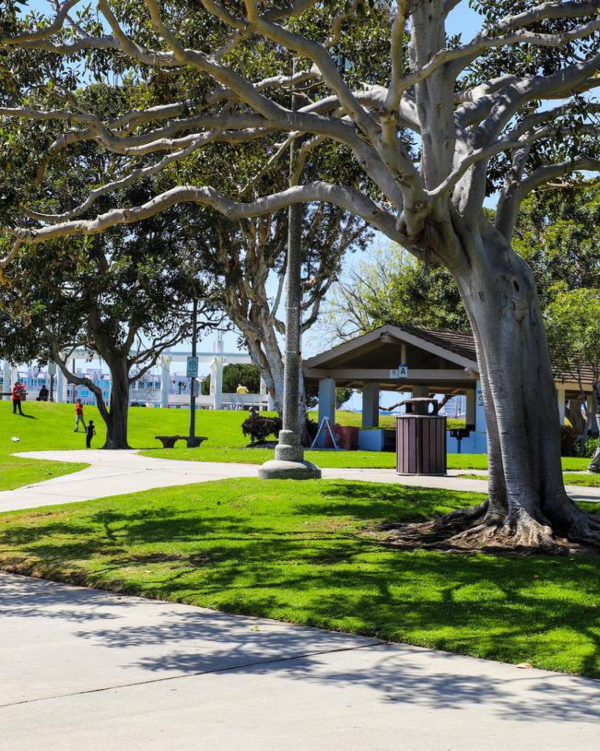 Burton W. Chace Park in Marina del Rey with green lawns, walking paths, and marina views.