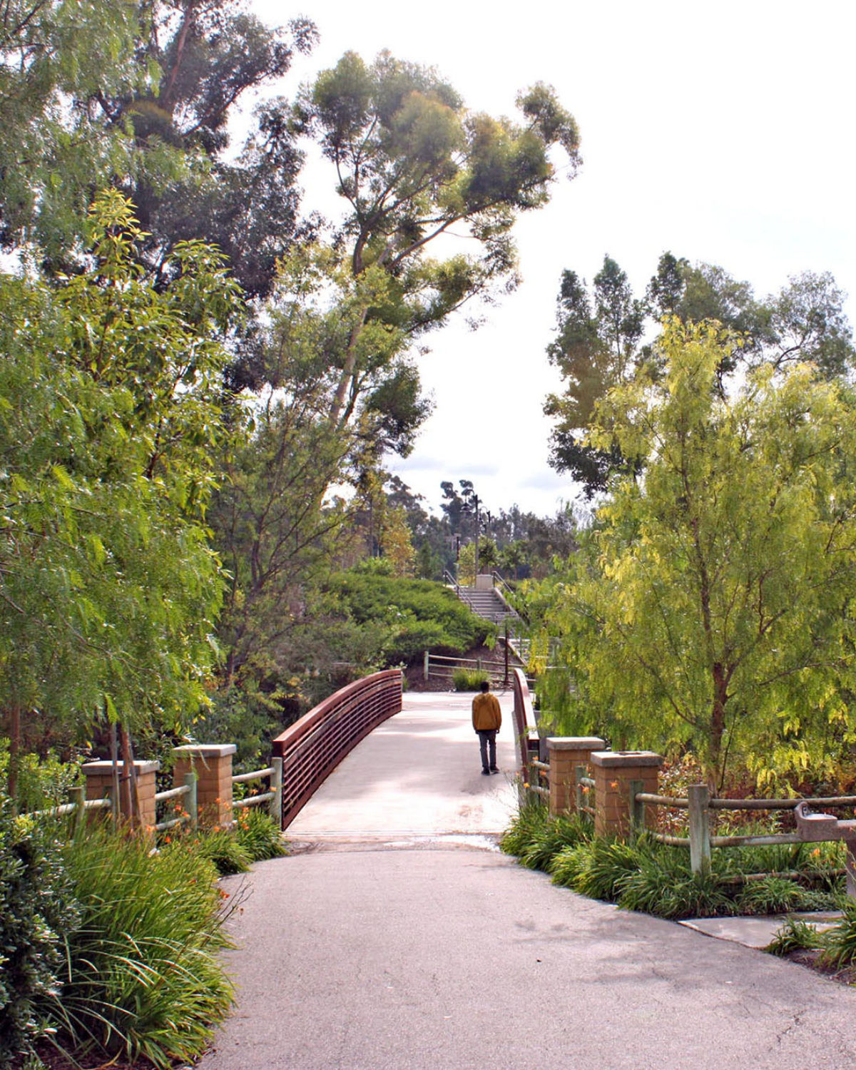Lake Mission Viejo and Oso Creek Trail highlight Mission Viejo's scenic, family-friendly character.