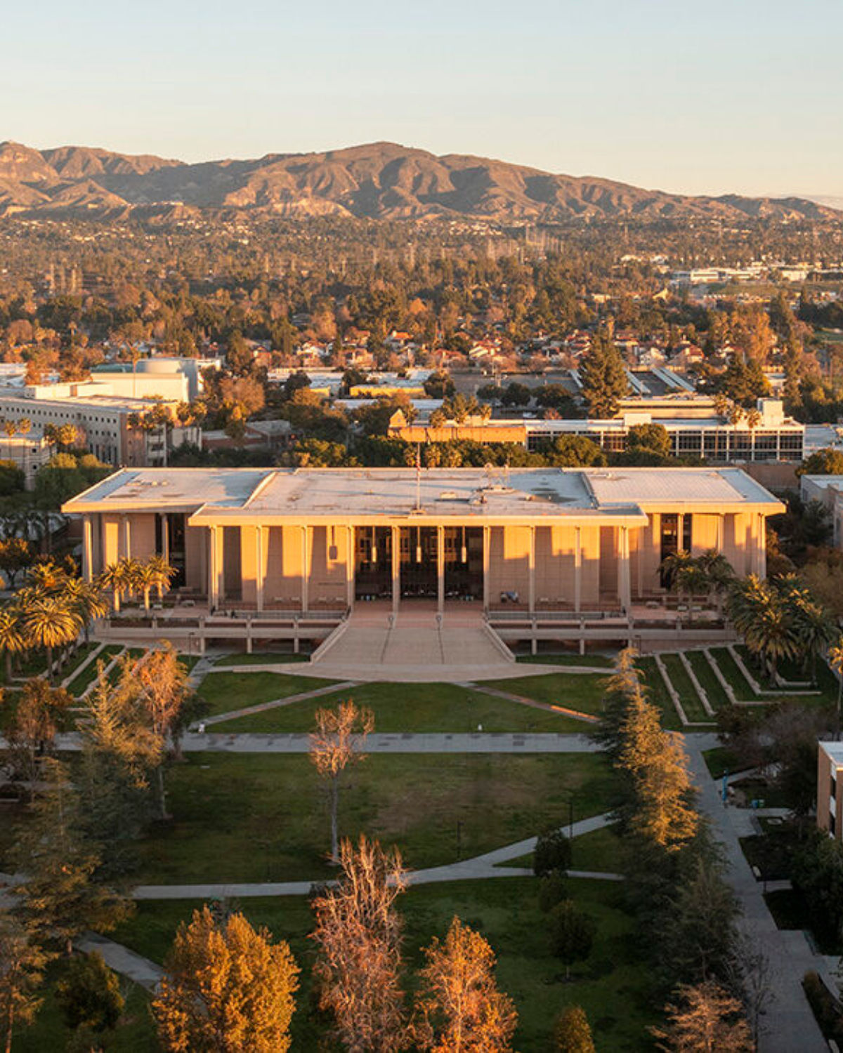 California State University, Northridge with its campus buildings and palm-lined setting.