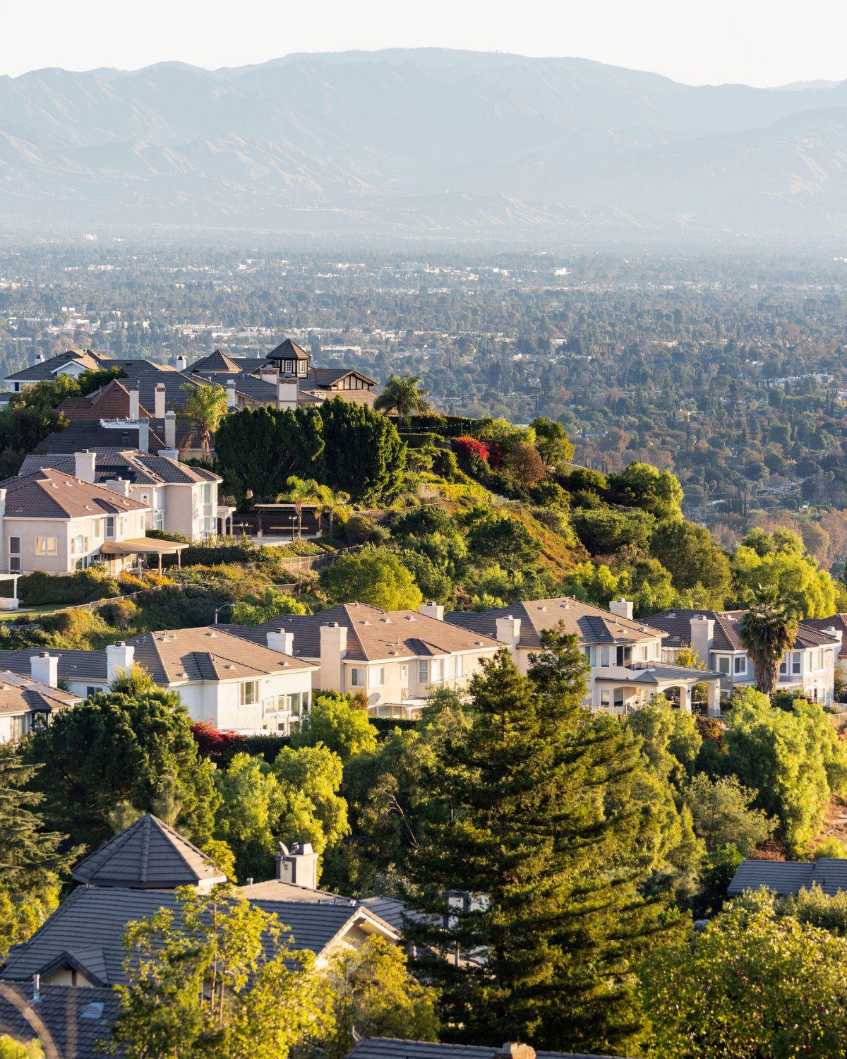 Lush hillside neighborhood in Woodland Hills, CA with densely wooded terrain, red-roofed homes nestled into the green hillside, and a clear blue sky