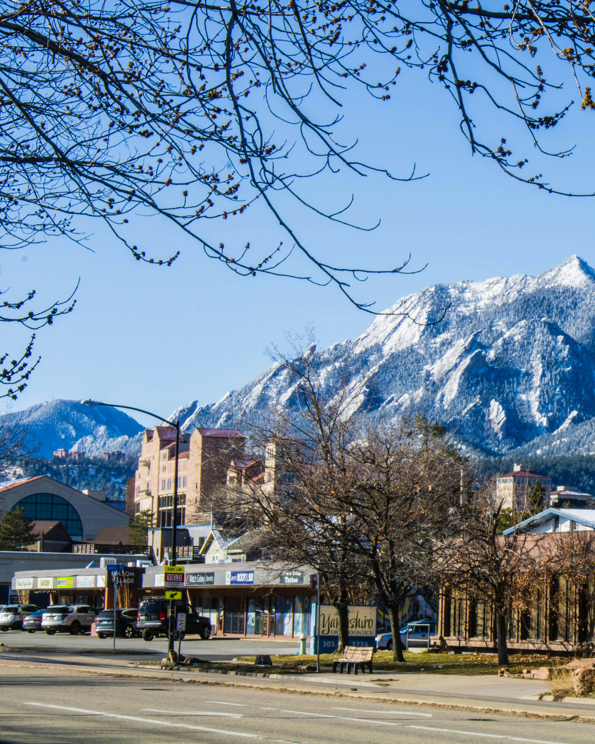 Snow-dusted Flatirons rising above Boulder, CO with bare winter trees and rooftops in the foreground