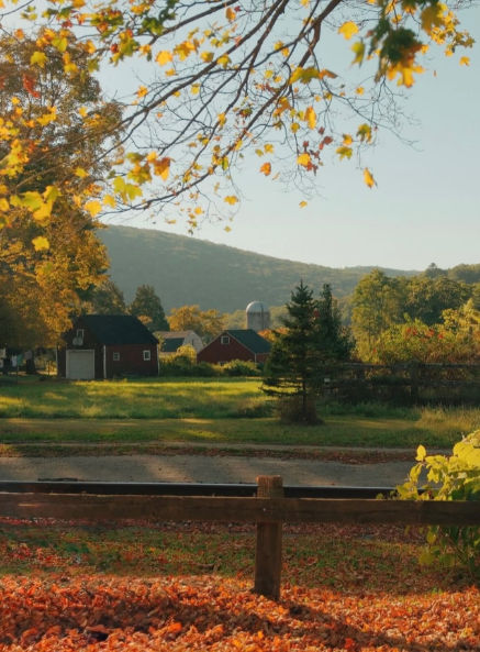 Peaceful autumn countryside in Canton, Connecticut, featuring a rustic wooden fence, fallen red and orange leaves, and a grassy field surrounded by trees. Small red farm buildings sit beneath wooded hills in the distance, with golden fall leaves framing the rural New England scene.